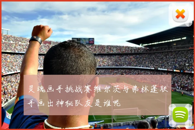 灵魂画手挑战赛维尔茨与弗林蓬联手画出神秘队友是谁呢