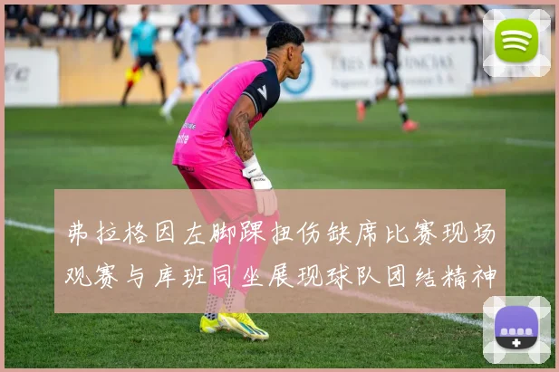 弗拉格因左脚踝扭伤缺席比赛现场观赛与库班同坐展现球队团结精神