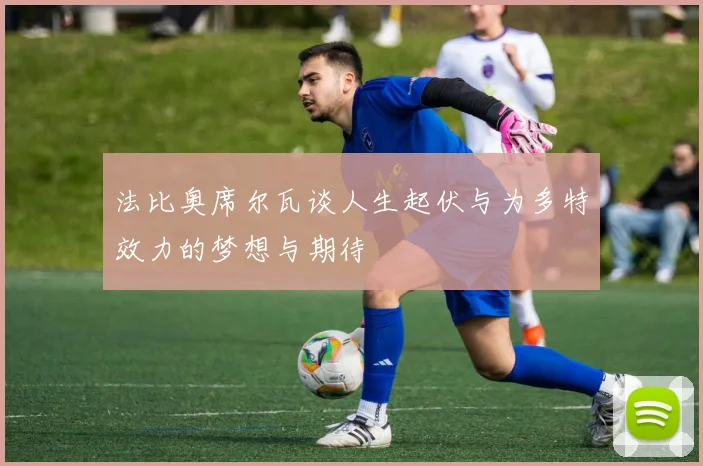 法比奥席尔瓦谈人生起伏与为多特效力的梦想与期待