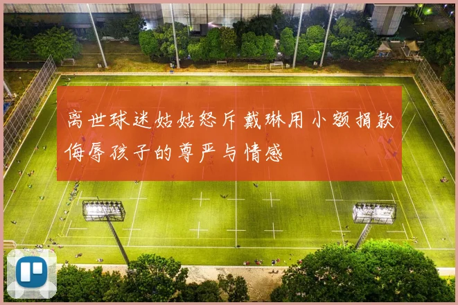 离世球迷姑姑怒斥戴琳用小额捐款侮辱孩子的尊严与情感