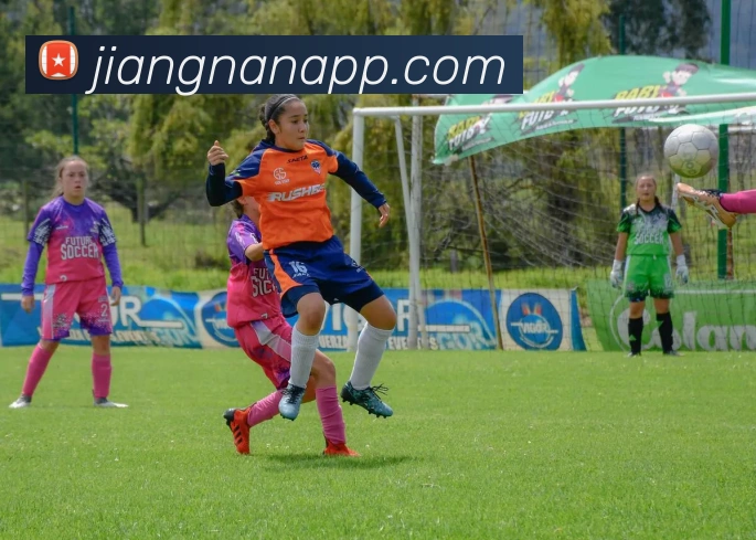 App Interface Preview