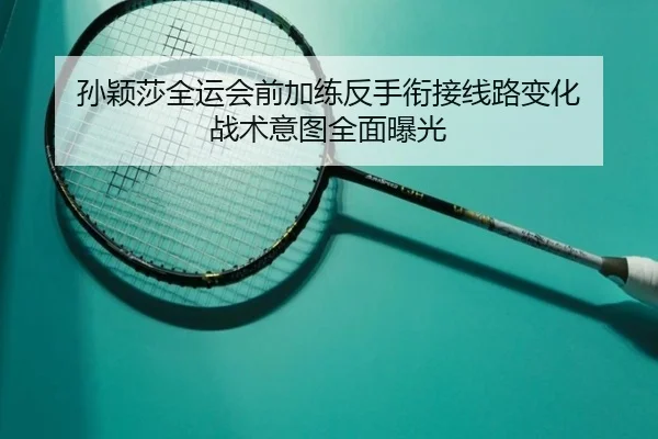 孙颖莎全运会前加练反手衔接线路变化 战术意图全面曝光
